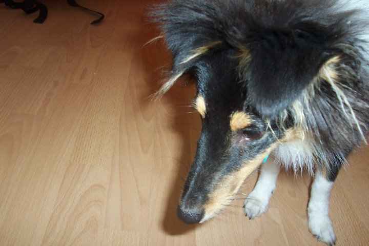 tinou
